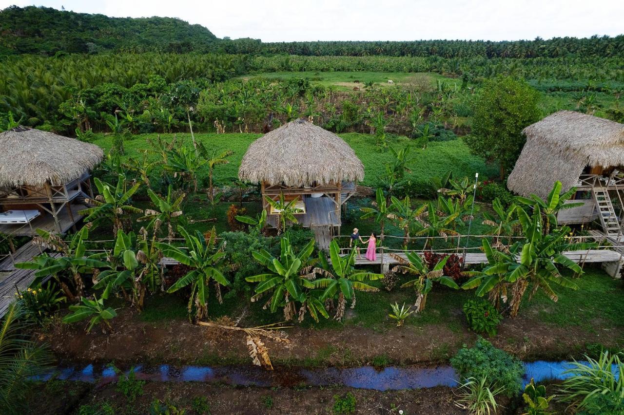 Samana Ecolodge El Limon Buitenkant foto