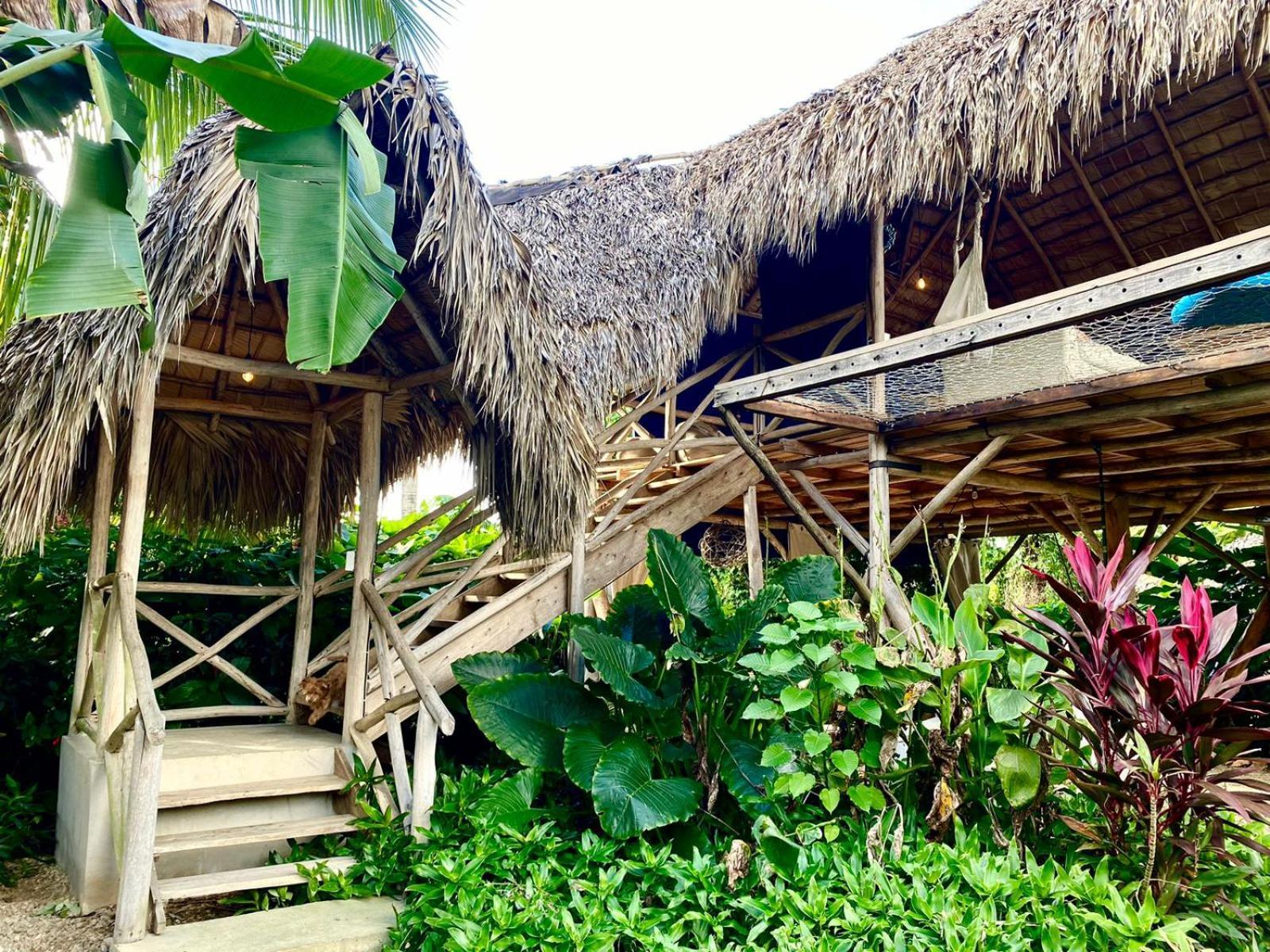 Samana Ecolodge El Limon Buitenkant foto
