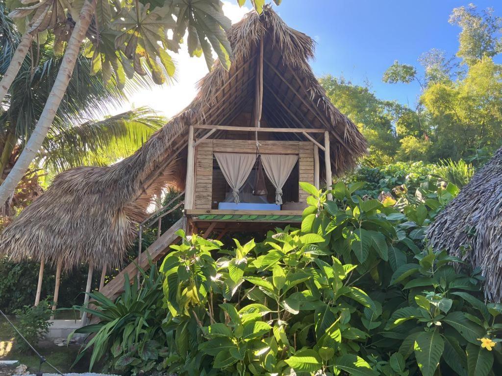 Samana Ecolodge El Limon Buitenkant foto