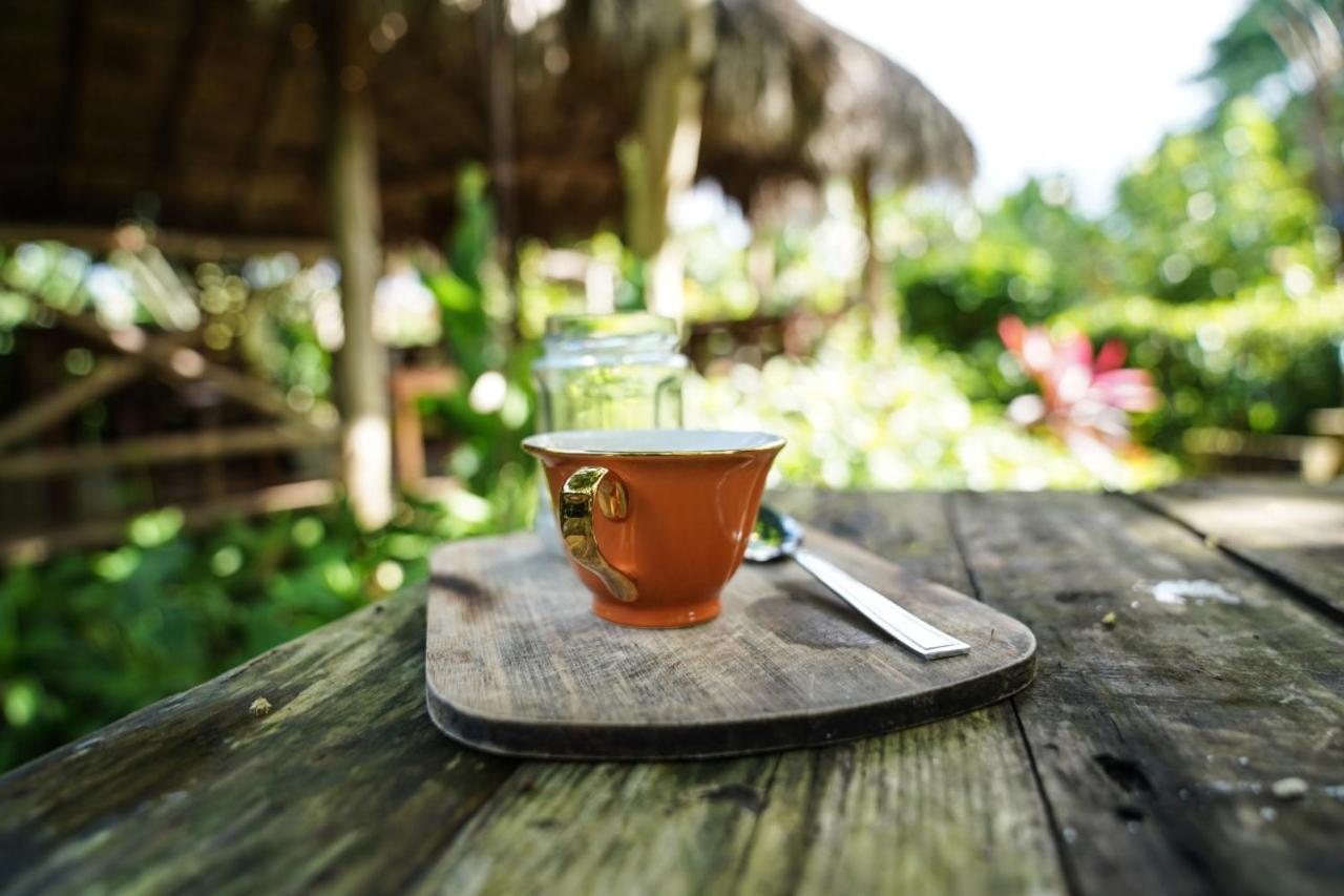 Samana Ecolodge El Limon Buitenkant foto